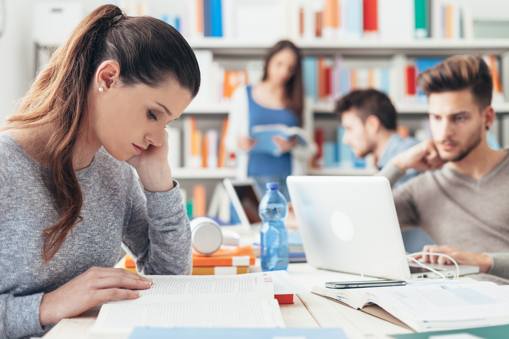 CAT en el estudio, trabajo o uso de móviles - apoyar mano mandíbula estudiando concentrado pensando CAT en el estudio, trabajo o uso de móviles - apoyar mano en la mandíbula estudiando, concentrado o pensando