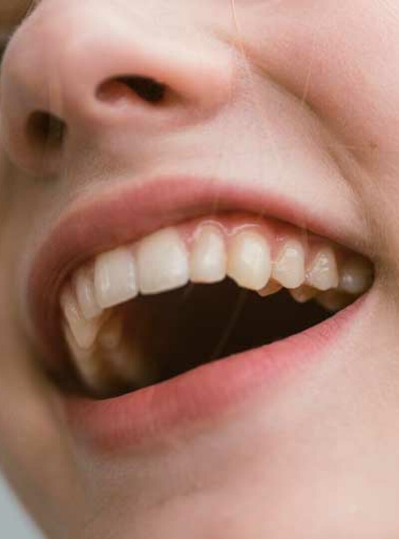 ¿Cúal es la función principal de la boca en el sistema digestivo ?