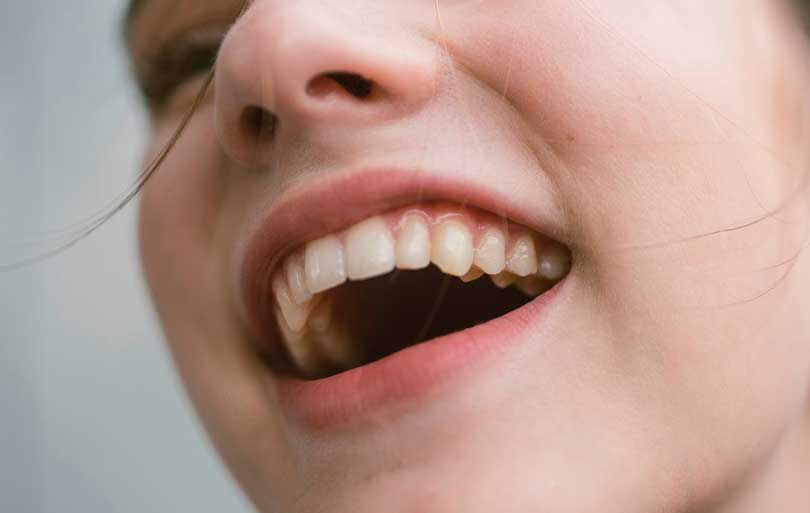 ¿Cúal es la función principal de la boca en el sistema digestivo ?
